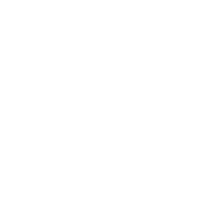 icon-1